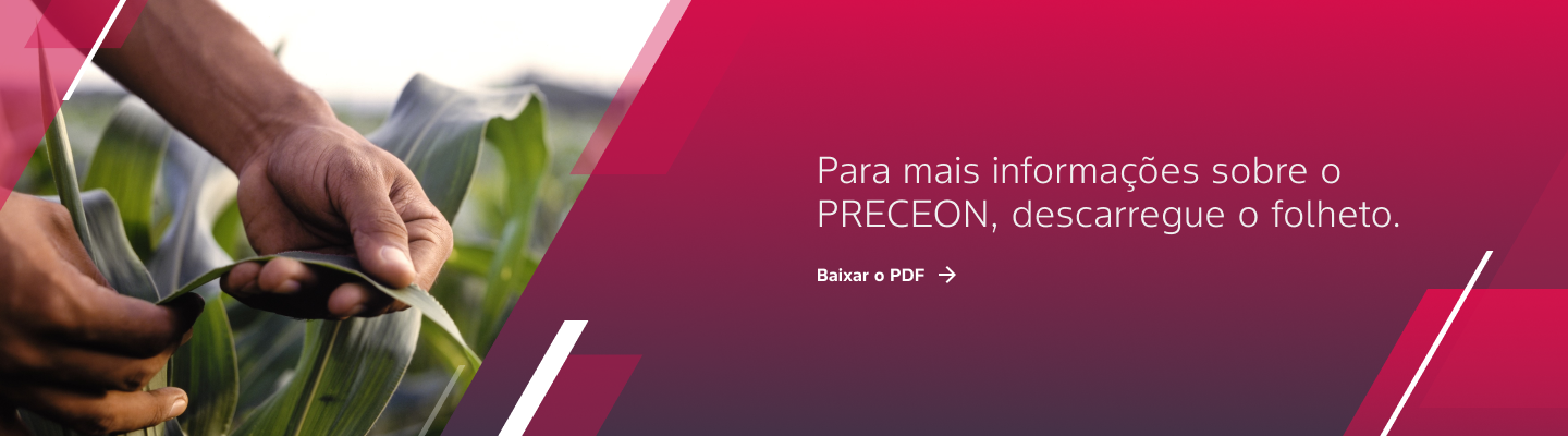 4_PDF folheto.png